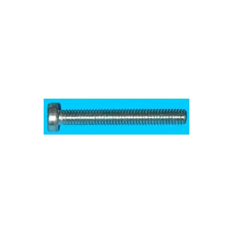 TORNILLO CABEZA CILINDRICA METRICA 4X30 ZN BL.