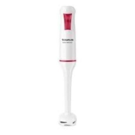 BATIDORA VARILLA ROBOT 750W EASY