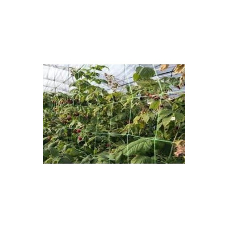 MALLA DE ENTUTORAR 2X10 M 203011