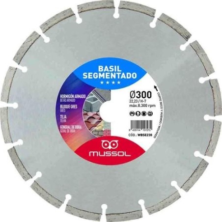 DISCO DIAMANTE BASIL SEGMENTADO 300MM EJE 25,4MM